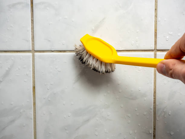 Best Localized Mold Remediation (e.g., coastal areas, humid climates) in Marengo, IL