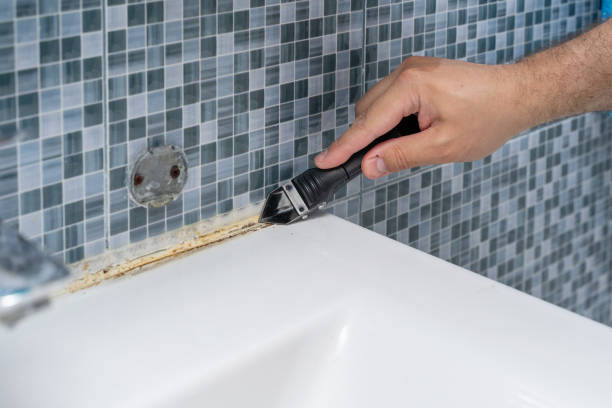 Best Black Mold Remediation in Marengo, IL